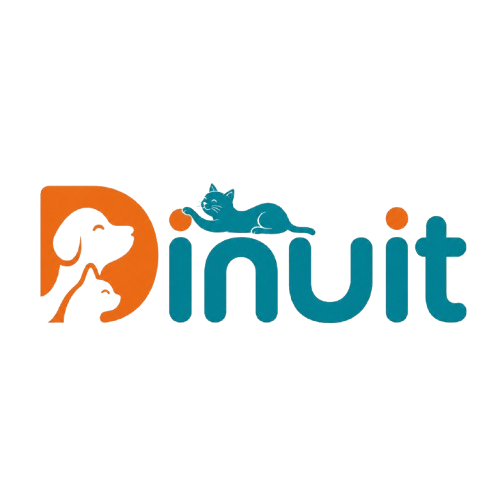 Dinuit logo